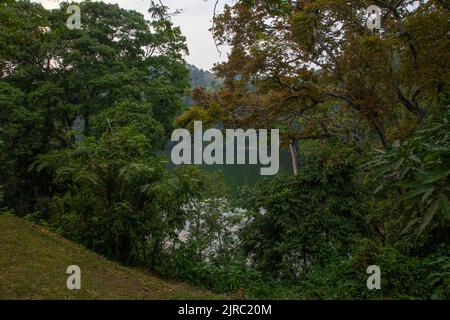 Das Lake Nkuruba Nature Reserve wurde 1991 gegründet, um den uralten Waldlebensraum, der den vulkanischen Krater umgibt, zu schützen Stockfoto