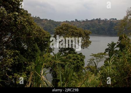 Das Lake Nkuruba Nature Reserve wurde 1991 gegründet, um den uralten Waldlebensraum, der den vulkanischen Krater umgibt, zu schützen Stockfoto