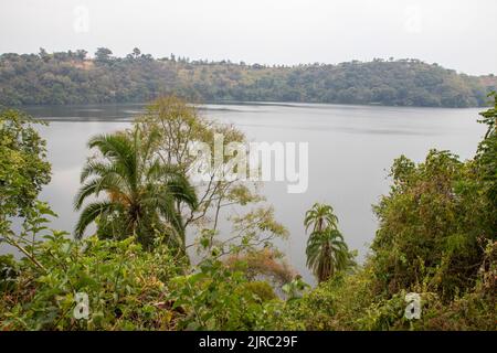Das Lake Nkuruba Nature Reserve wurde 1991 gegründet, um den uralten Waldlebensraum, der den vulkanischen Krater umgibt, zu schützen Stockfoto