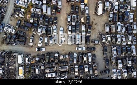 Schrottplatz mit weggeworfenen kaputten Autos Stockfoto