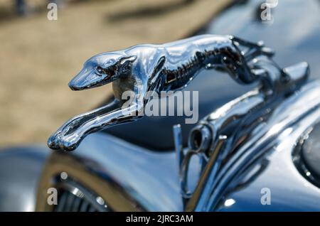 1935 Ford V8 Motorhaube Maskottchen. Stockfoto
