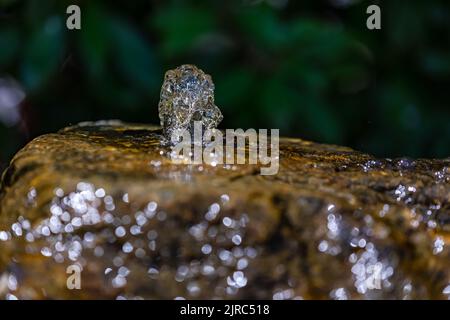 Wasser aus einem gut belichteten und gefrorenen in der kontinuierlichen Bewegung durch den Schuss Stockfoto