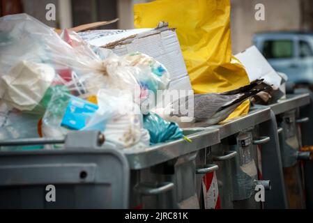 Seagull sucht nach Nahrung in einem überfließenden Abfalleimer. Stockfoto