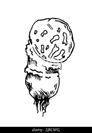 Pilzpilz. Essbare und nicht essbare Pilzpflanzen aus wildem Wald. Umreißen Sie die von Hand gezeichnete Skizze. Zeichnen mit Tinte. Isoliert auf weißem Hintergrund Stock Vektor