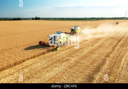 Mähdrescher erntet reifen Weizen. Landwirtschaft Stockfoto