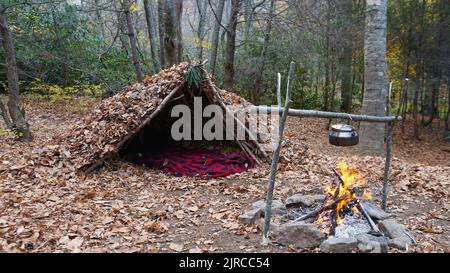 Bushcraft Überlebensschutz in der Wildnis. Schutt Hütte Campingplatz im Wald Stockfoto