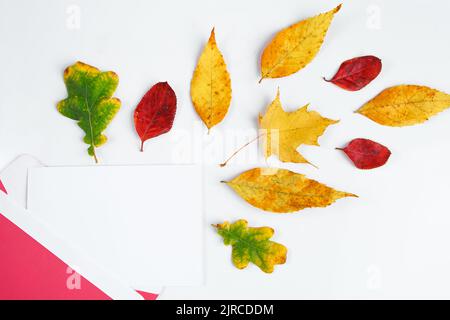 Herbst flach liegen. Umschlag mit einer leeren Grußkarte und gefallenen gelben Blättern auf weißem Hintergrund. Speicherplatz kopieren. Stockfoto