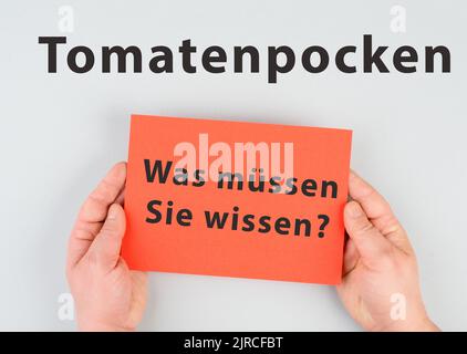 Tomatenpocken, Ausbruch des Virus in Indien, Infektionskrankheit breitet sich aus Stockfoto