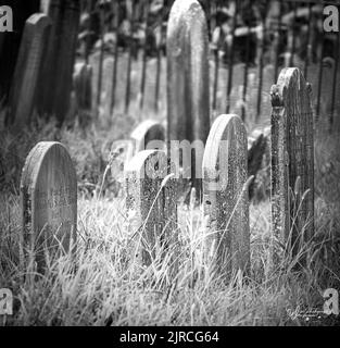 Alternde Grabsteine auf einem alten, einsamen, vergessenen Friedhof mit überwuchertem Gras und gusseisernen Zaunstangen in schwarz-weiß im Frühling, Sommer, Herbst Stockfoto