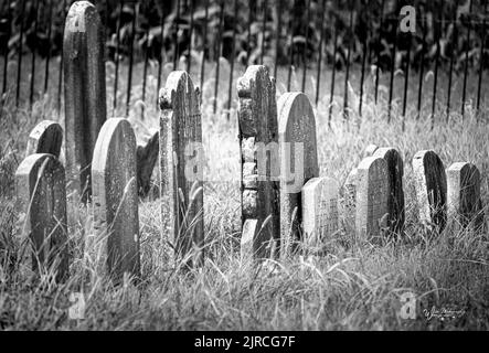 Alternde Grabsteine auf einem alten, einsamen, vergessenen Friedhof mit überwuchertem Gras und gusseisernen Zaunstangen in schwarz-weiß im Frühling, Sommer, Herbst Stockfoto