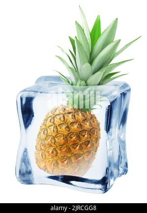 Ananas im Eiswürfel, isoliert auf weißem Hintergrund, Schnittpfad, volle Schärfentiefe Stockfoto