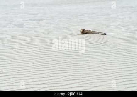 Baumstamm am Strand mit gewelltem weißen Sand. Natürlicher, abstrakter Hintergrund. Sandstruktur. Stockfoto