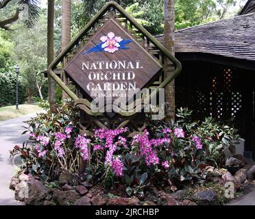 Der wunderschöne National Orchid Garden in Singapur Stockfoto