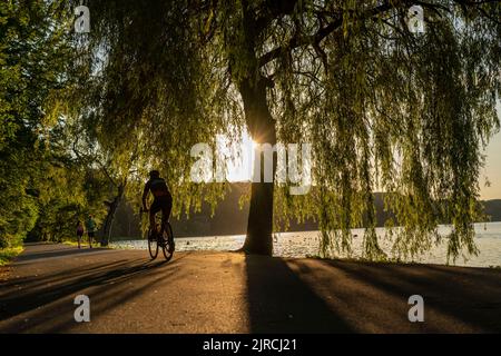 Radfahren auf dem Baldeney-See, rund 14 Kilometer Rundkurs rund um den Ruhr-Stausee, Sommerabend am Ostufer, Essen, NRW, Deutschland, Stockfoto