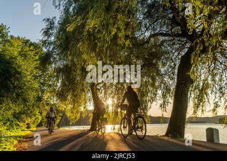 Radfahren auf dem Baldeney-See, rund 14 Kilometer Rundkurs rund um den Ruhr-Stausee, Sommerabend am Ostufer, Essen, NRW, Deutschland, Stockfoto