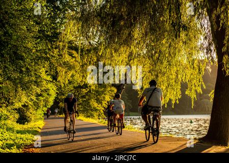 Radfahren auf dem Baldeney-See, rund 14 Kilometer Rundkurs rund um den Ruhr-Stausee, Sommerabend am Ostufer, Essen, NRW, Deutschland, Stockfoto