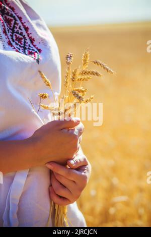 Mädchen in ukrainischen bestickten Kleid hält Stacheletts in den Händen. Rotschopf ukrainische Frau auf gelbem Weizenfeld. Brot ernten. Glückliche, lächelnde Frau Stockfoto