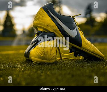 Eine Nahaufnahme eines gelben Paares von Nike CTR360 Maestri Fußballschuhen auf dem Spielfeld Stockfoto