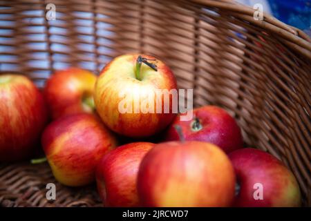 Korb mit roten Äpfeln Stockfoto