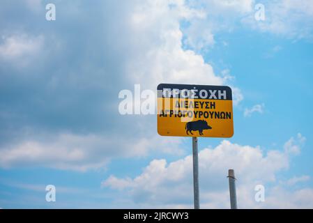 Wildschwein-Warnschild, halkidiki griechenland. Stockfoto