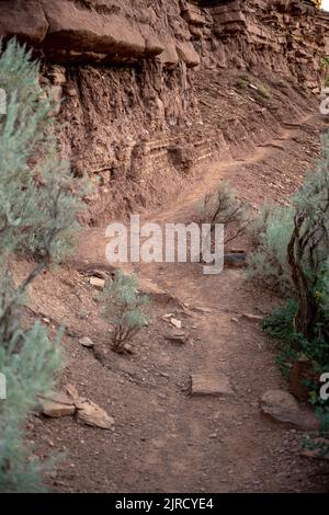 Der Faint Trail führt entlang der Rocky Desert Cliff im Capitol Reef National Park Stockfoto