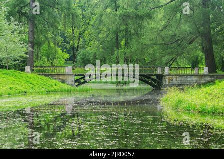 Metallbrücke über den Teich im Sommer Stadtpark. Stockfoto