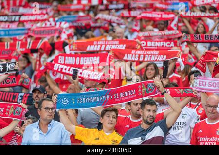 Lissabon, Portugal. 23. August 2022. Lissabon, Portugal. Fans von Benfica während des Spiels der Playoffs 2. für die UEFA Champions League, Benfica gegen Dynamo Kiew Credit: Alexandre de Sousa/Alamy Live News Stockfoto