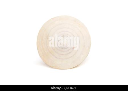 Bild von spiralförmigen Muscheln auf weißem Hintergrund. Unterwassertiere. Muscheln. Stockfoto