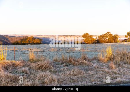 Australien, frostiger Wintermorgen bei Sonnenaufgang in der Nähe von Goulburn im regionalen New South Wales, Australien Stockfoto