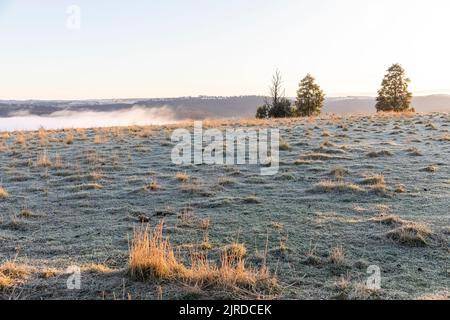 Australien, frostiger Wintermorgen bei Sonnenaufgang in der Nähe von Goulburn im regionalen New South Wales, Australien Stockfoto