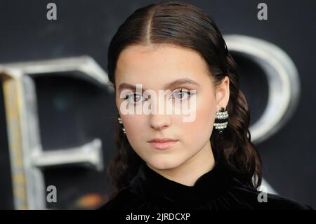 New York, Usa. 23. August 2022. Fina Strazza nimmt an der Premiere der TV-Show „der Herr der Ringe: Ringe der Macht“ in der Alice Tully Hall in New York City Teil. Kredit: SOPA Images Limited/Alamy Live Nachrichten Stockfoto