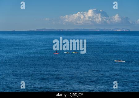 Kanuten, Cabrera-Inseln, Mallorca, Balearen, Spanien Stockfoto