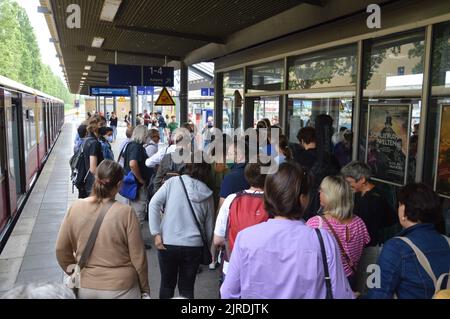 Potsdam, Deutschland - August 2022 - 9-Euro-Ticket - Hauptbahnhof Potsdam. (Foto von Markku Rainer Peltonen) Stockfoto