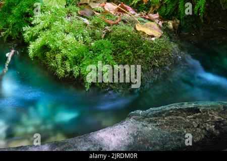Kleiner Wasserlauf im Alento River Park in den Abruzzen Stockfoto