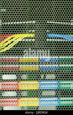 Netzwerk- und Server-Racks im Datacenter-Schrank durch grüne Wabenschutztür. Selektiver Fokus. Stockfoto