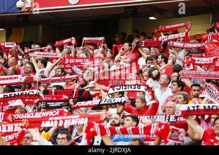 SL Benfica-Fans vor der UEFA Champions League, Play-offs, 2.-Bein-Fußballspiel zwischen SL Benfica und Dynamo Kiew am 23. August 2022 im Estadio da Luz in Lissabon, Portugal - Foto: Joao Rico/DPPI/LiveMedia Stockfoto