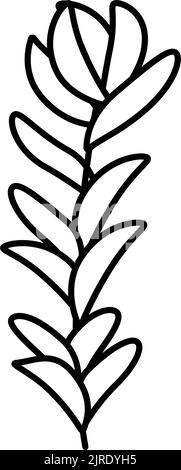 rotala rotundifolia Seegras Linie Symbol Vektor Illustration Stock Vektor