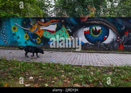 Krakau, Polen. 23. August 2022. Ein Hund kommt an einem neu bemalten Wandgemälde vorbei, das die polnische Solidarität mit der Ukraine während der russischen Invasion zeigt. Krakau, Polen, am 23. August 2022. Das Wandgemälde wurde vom polnischen Straßenkünstler Mikolaj Rejs mit Hilfe ukrainischer Kinder und des kalifornischen Künstlers Benjamin Ssatez von der gemeinnützigen Organisation Goodness Tour gemalt. (Bild: © Beata Zawrzel/ZUMA Press Wire) Stockfoto