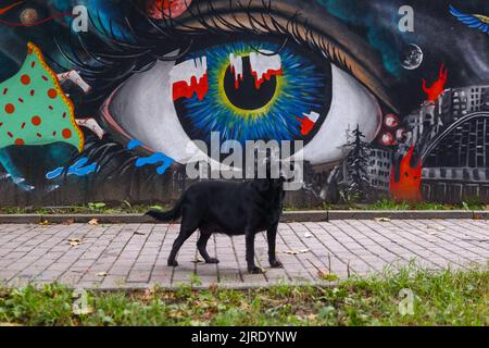 Krakau, Polen. 23. August 2022. Ein Hund kommt an einem neu bemalten Wandgemälde vorbei, das die polnische Solidarität mit der Ukraine während der russischen Invasion zeigt. Krakau, Polen, am 23. August 2022. Das Wandgemälde wurde vom polnischen Straßenkünstler Mikolaj Rejs mit Hilfe ukrainischer Kinder und des kalifornischen Künstlers Benjamin Ssatez von der gemeinnützigen Organisation Goodness Tour gemalt. (Bild: © Beata Zawrzel/ZUMA Press Wire) Stockfoto