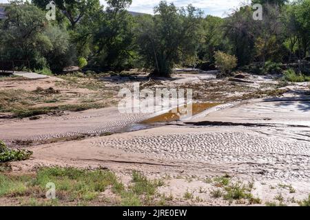 Am Tag nach einer Sturzflut in Moab, Utah, tritt das Hochwasser vom überfluteten Mill Creek Parkway in der Aue von Mill Creek zurück. Stockfoto