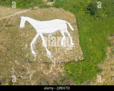 Luftaufnahme des weißen Pferdes von Litlington, das 1924 auf den Südabfahrten in Ost-sussex geschnitten wurde Stockfoto