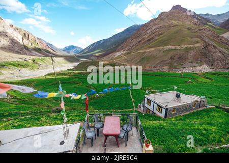 Schöne Aussicht auf üppig grünes Ackerland im Sommer in Mud Village of Pin Valley mit Berglandschaft Stockfoto