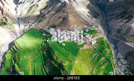 Im Sommer im Pin Valley von Himachal Pradesh im Mud Village eine weite Luftlandschaft mit üppig grünen Ackerflächen Stockfoto