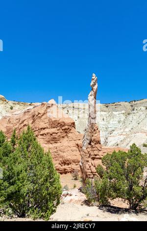 Ballerina Spire, eine Sandrohrsteinformation im Kodachrome Basin State Park, Utah, USA Stockfoto