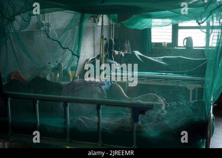Kathmandu, NE, Nepal. 24. August 2022. Am 24. August 2022 ruht ein an Dengue leidender Patient in einem Moskitonetz im Sudraraj Tropical and Infectious Disease Hospital in Kathmandu, Nepal. (Bild: © Aryan Dhimal/ZUMA Press Wire) Stockfoto