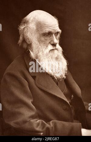 Foto von Charles Darwin, aufgenommen von seinem Sohn Leonard um 1874, als Darwin Mitte der sechziger Jahre war. Stockfoto