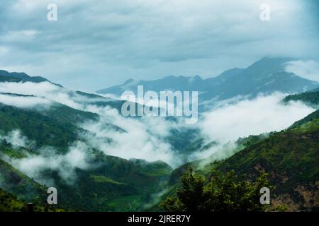 Hügel im Himalaya mit grünen Bäumen, die von Nebel bedeckt sind, und weißen Wolken nach einem Regen. Uttarakhand Indien. Stockfoto