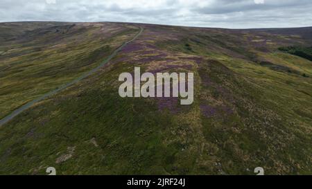 Eine schmale Straße über die North York Moors, Luftaufnahme, während die Heide in voller Blüte steht Stockfoto