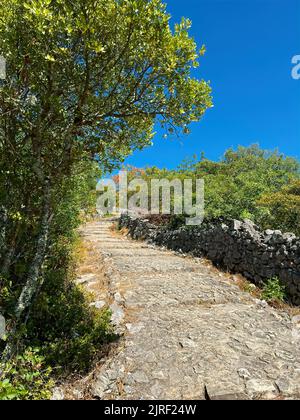 Vertikaler Blick auf den aufwärts führenden Wanderweg zu den Ruinen der Burg Allegre les fumades Stockfoto