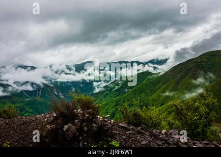 Hügel im Himalaya mit grünen Bäumen, die von Nebel bedeckt sind, und weißen Wolken nach einem Regen. Uttarakhand Indien. Stockfoto